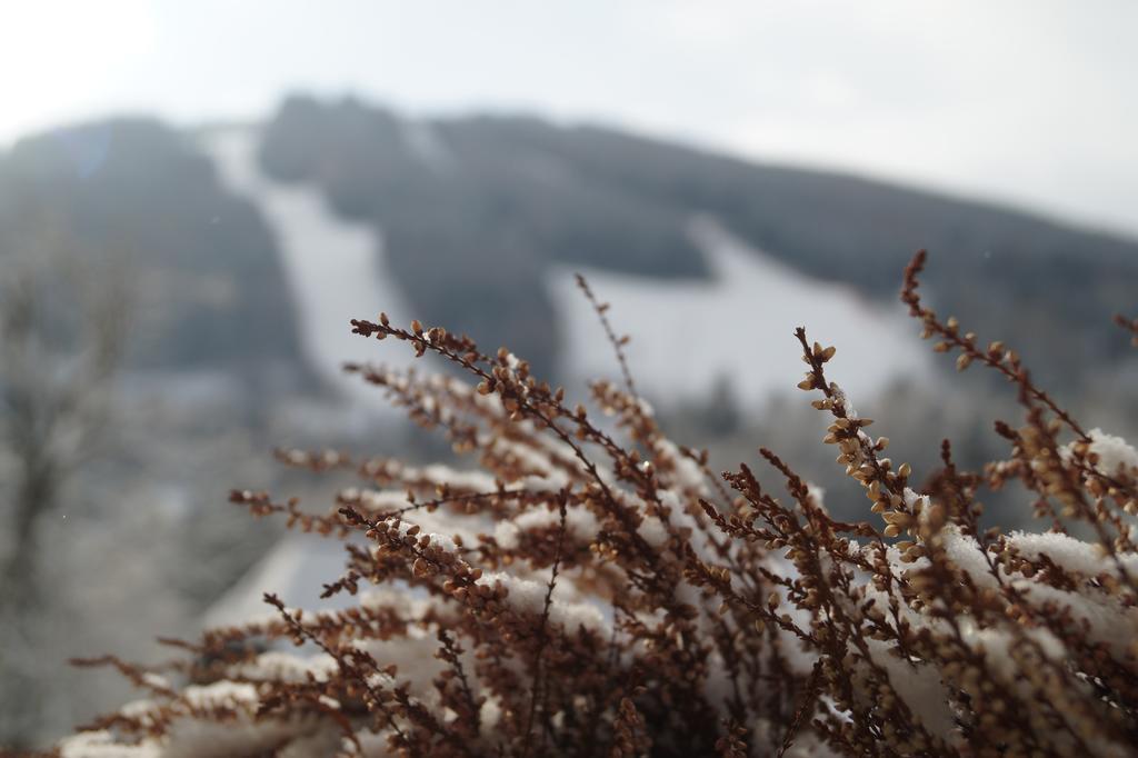 Belvedere Hotel Semmering Eksteriør billede