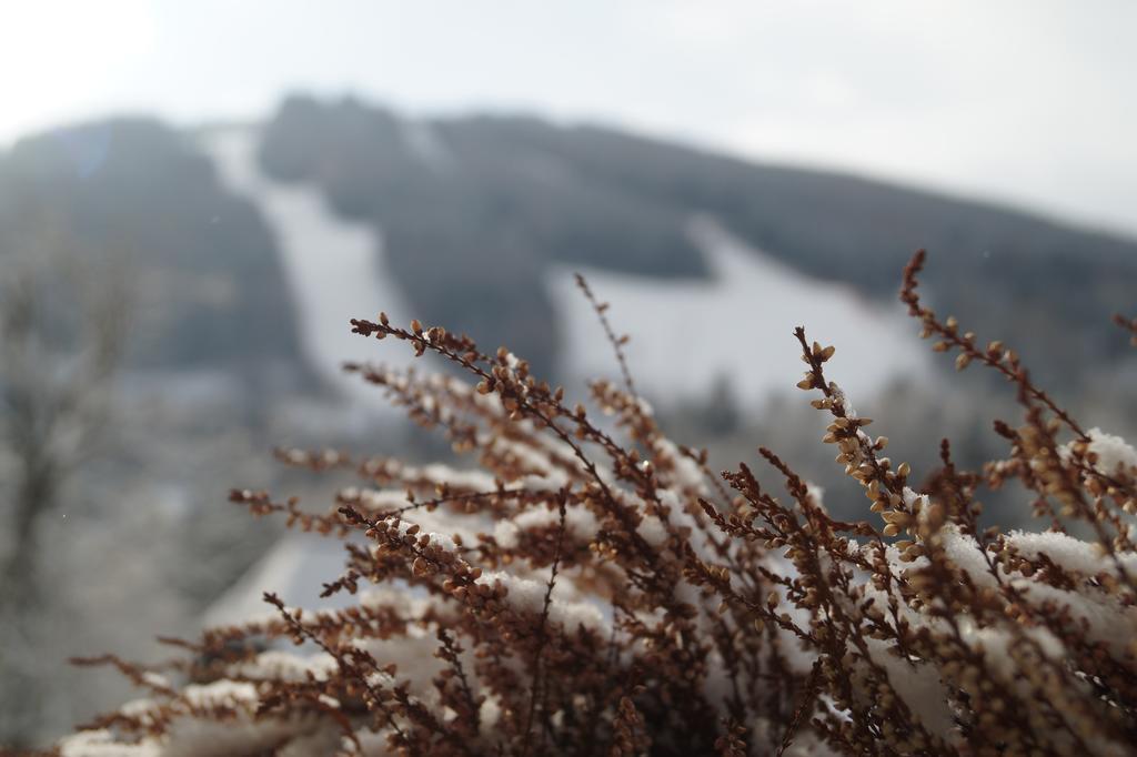 Belvedere Semmering Eksteriør billede